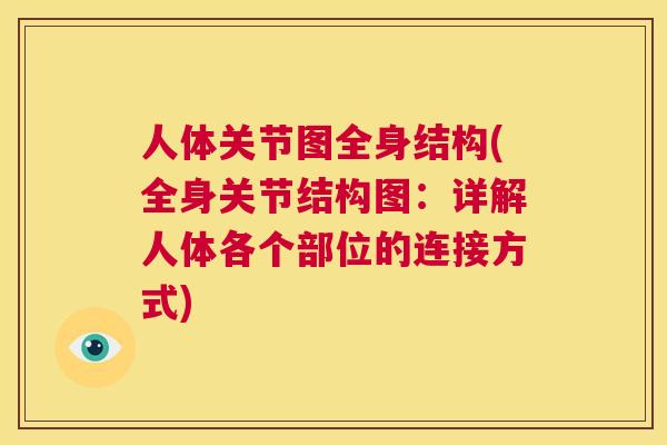 人体关节图全身结构(全身关节结构图：详解人体各个部位的连接方式)