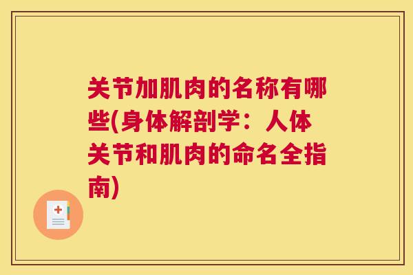 关节加肌肉的名称有哪些(身体解剖学：人体关节和肌肉的命名全指南)
