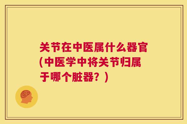 关节在中医属什么器官(中医学中将关节归属于哪个脏器？)