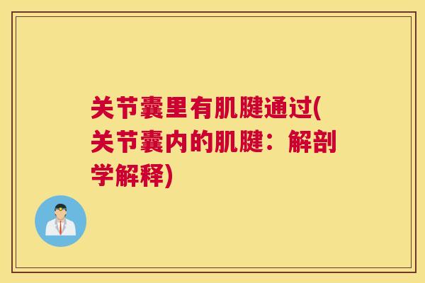 关节囊里有肌腱通过(关节囊内的肌腱：解剖学解释)