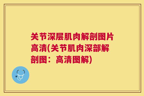 关节深层肌肉解剖图片高清(关节肌肉深部解剖图：高清图解)