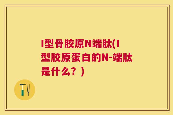 I型骨胶原N端肽(I型胶原蛋白的N-端肽是什么？)