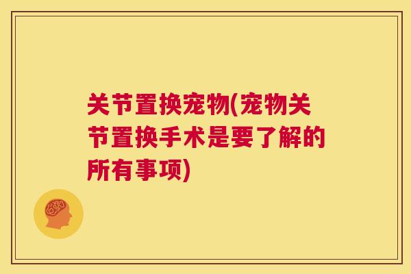 关节置换宠物(宠物关节置换手术是要了解的所有事项)