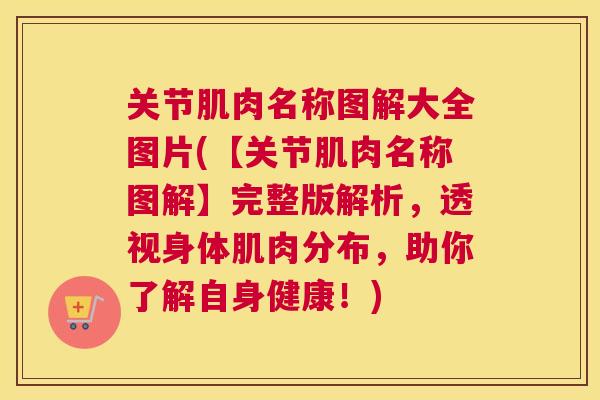 关节肌肉名称图解大全图片(【关节肌肉名称图解】完整版解析，透视身体肌肉分布，助你了解自身健康！)