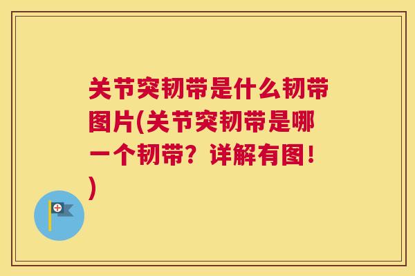 关节突韧带是什么韧带图片(关节突韧带是哪一个韧带？详解有图！)