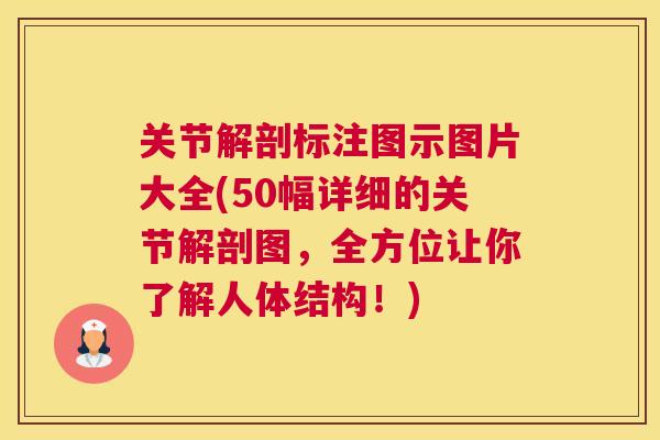 关节解剖标注图示图片大全(50幅详细的关节解剖图，全方位让你了解人体结构！)