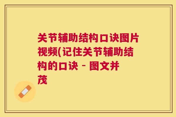 关节辅助结构口诀图片视频(记住关节辅助结构的口诀 - 图文并茂