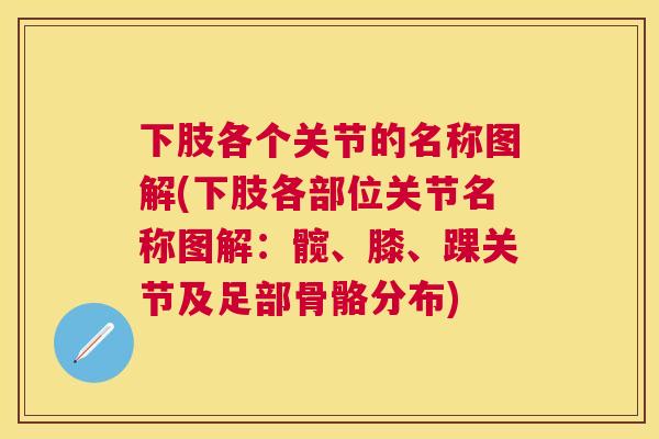 下肢各个关节的名称图解(下肢各部位关节名称图解：髋、膝、踝关节及足部骨骼分布)