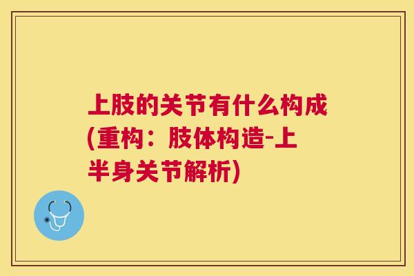 上肢的关节有什么构成(重构：肢体构造-上半身关节解析)