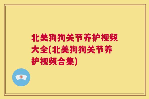 北美狗狗关节养护视频大全(北美狗狗关节养护视频合集)