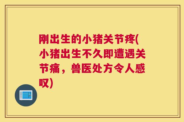刚出生的小猪关节疼(小猪出生不久即遭遇关节痛,兽医处方令人感叹) 刚出生的小猪关节疼(小猪出生不久即遭遇关节痛,兽医处方令人感叹)