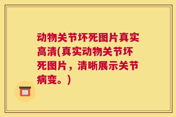 动物关节坏死图片真实高清(真实动物关节坏死图片，清晰展示关节病变。)