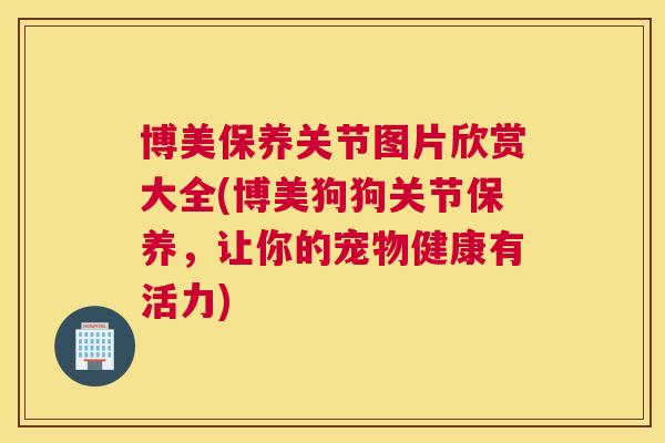 博美保养关节图片欣赏大全(博美狗狗关节保养，让你的宠物健康有活力)