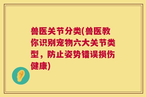 兽医关节分类(兽医教你识别宠物六大关节类型，防止姿势错误损伤健康)
