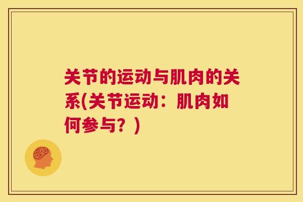 关节的运动与肌肉的关系(关节运动：肌肉如何参与？)