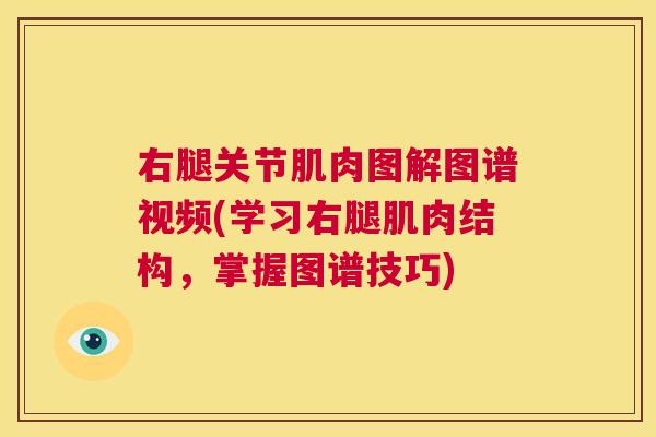 右腿关节肌肉图解图谱视频(学习右腿肌肉结构，掌握图谱技巧)
