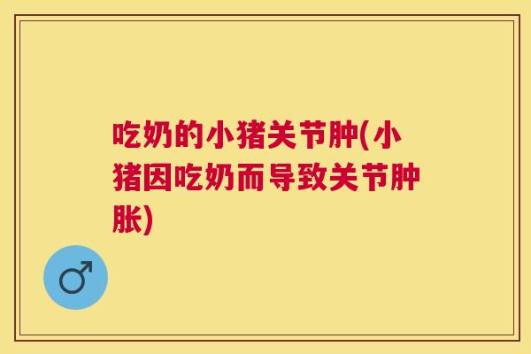 吃奶的小猪关节肿(小猪因吃奶而导致关节肿胀)