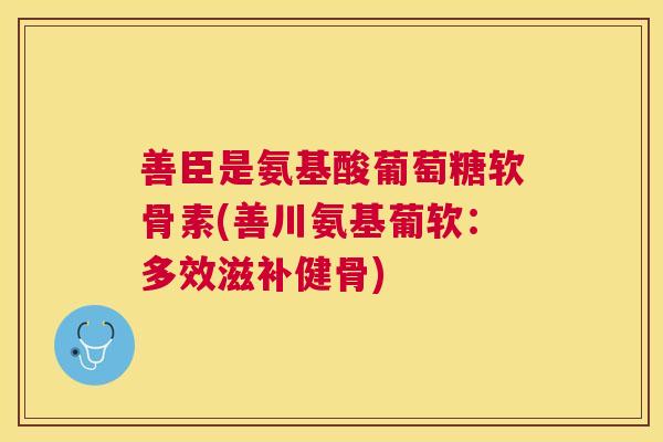 善臣是氨基酸葡萄糖软骨素(善川氨基葡软:多效滋补健骨)