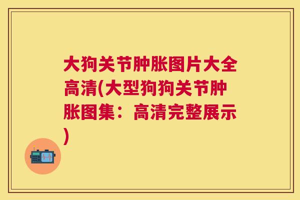 大狗关节肿胀图片大全高清(大型狗狗关节肿胀图集：高清完整展示)