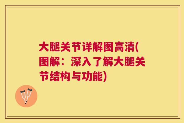 大腿关节详解图高清(图解：深入了解大腿关节结构与功能)