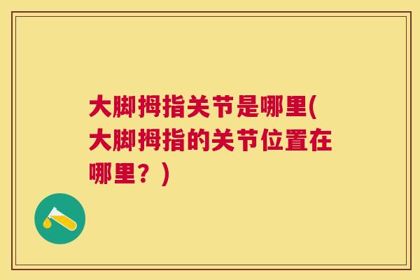 大脚拇指关节是哪里(大脚拇指的关节位置在哪里？)