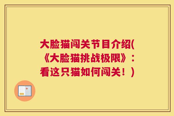 大脸猫闯关节目介绍(《大脸猫挑战极限》：看这只猫如何闯关！)