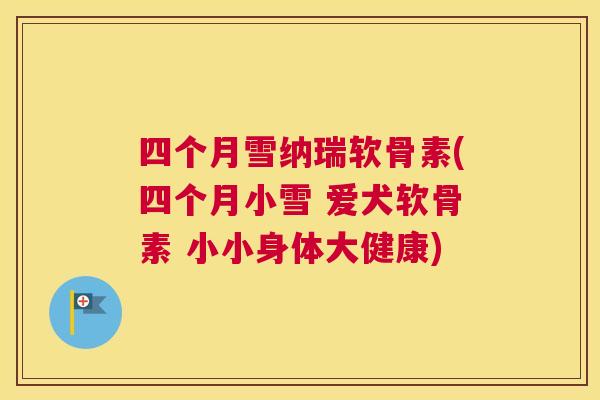 四个月雪纳瑞软骨素(四个月小雪 爱犬软骨素 小小身体大健康)