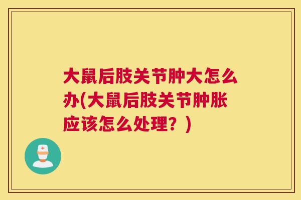 大鼠后肢关节肿大怎么办(大鼠后肢关节肿胀应该怎么处理？)