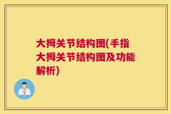 大拇关节结构图(手指大拇关节结构图及功能解析)