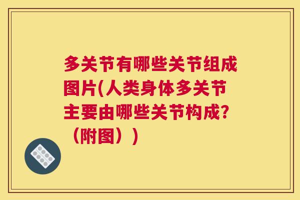 多关节有哪些关节组成图片(人类身体多关节主要由哪些关节构成？（附图）)