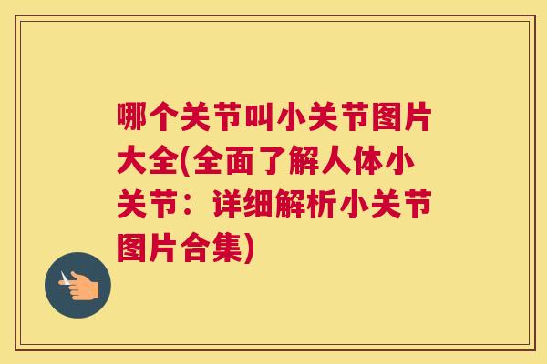 哪个关节叫小关节图片大全(全面了解人体小关节：详细解析小关节图片合集)