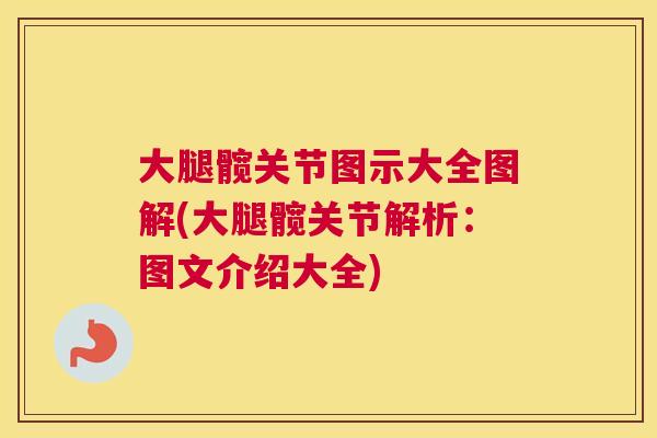 大腿髋关节图示大全图解(大腿髋关节解析：图文介绍大全)