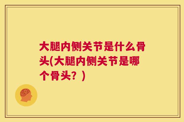 大腿内侧关节是什么骨头(大腿内侧关节是哪个骨头?) 大腿内侧关节是什么骨头(大腿内侧关节是哪个骨头?)