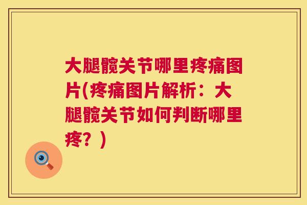 大腿髋关节哪里疼痛图片(疼痛图片解析：大腿髋关节如何判断哪里疼？)