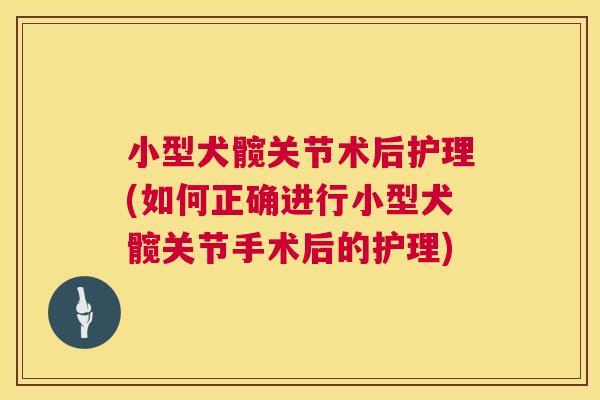 小型犬髋关节术后护理(如何正确进行小型犬髋关节手术后的护理)