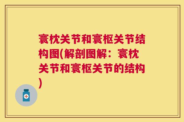 寰枕关节和寰枢关节结构图(解剖图解:寰枕关节和寰枢关节的结构)