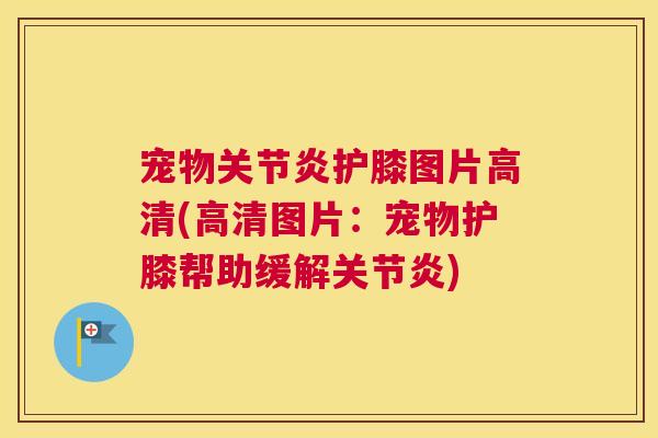 宠物关节炎护膝图片高清(高清图片：宠物护膝帮助缓解关节炎)