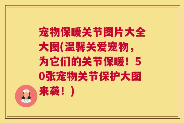 宠物保暖关节图片大全大图(温馨关爱宠物，为它们的关节保暖！50张宠物关节保护大图来袭！)
