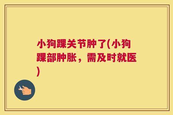 小狗踝关节肿了(小狗踝部肿胀，需及时就医)