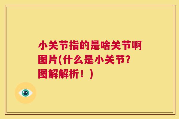 小关节指的是啥关节啊图片(什么是小关节？图解解析！)