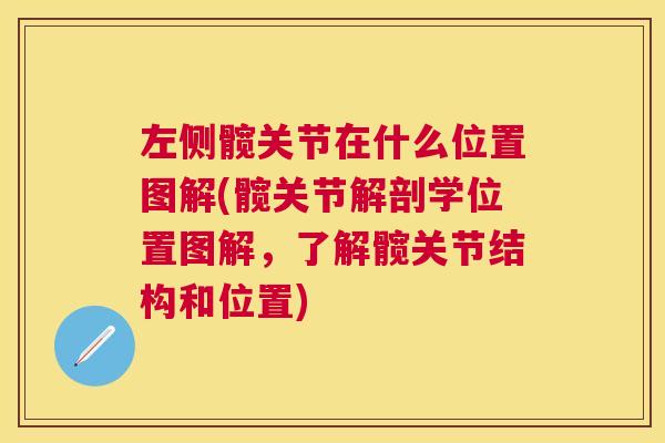 左侧髋关节在什么位置图解(髋关节解剖学位置图解，了解髋关节结构和位置)