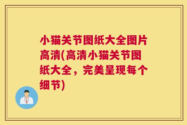 小猫关节图纸大全图片高清(高清小猫关节图纸大全，完美呈现每个细节)