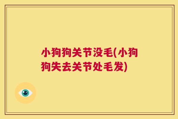小狗狗关节没毛(小狗狗失去关节处毛发)