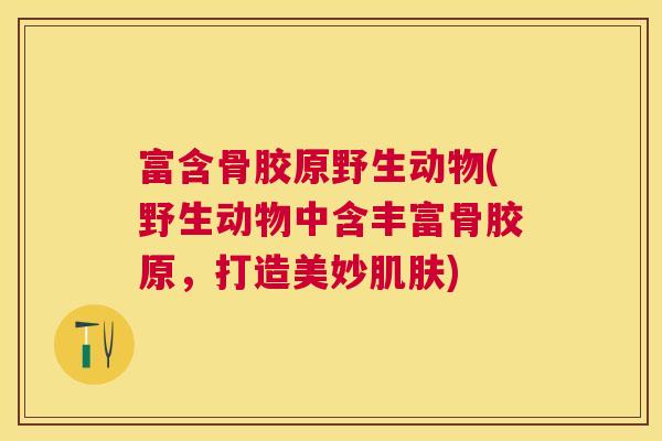 富含骨胶原野生动物(野生动物中含丰富骨胶原，打造美妙肌肤)