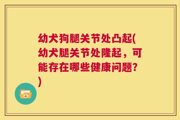 幼犬狗腿关节处凸起(幼犬腿关节处隆起,可能存在哪些健康问题?) 幼犬狗腿关节处凸起(幼犬腿关节处隆起,可能存在哪些健康问题?)