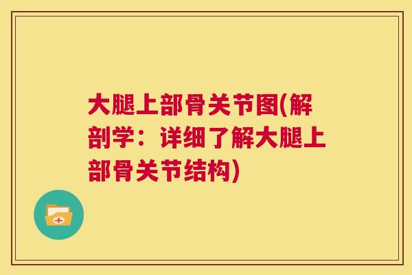 大腿上部骨关节图(解剖学：详细了解大腿上部骨关节结构)