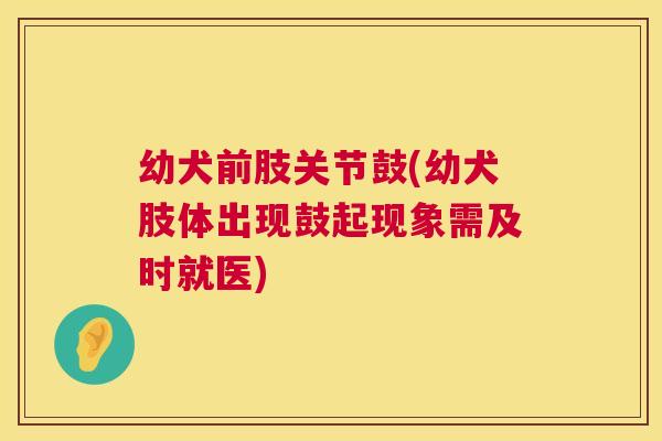 幼犬前肢关节鼓(幼犬肢体出现鼓起现象需及时就医) 幼犬前肢关节鼓(幼犬肢体出现鼓起现象需及时就医)