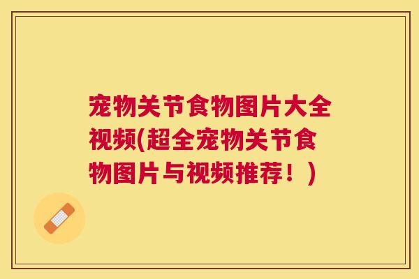 宠物关节食物图片大全视频(超全宠物关节食物图片与视频推荐！)