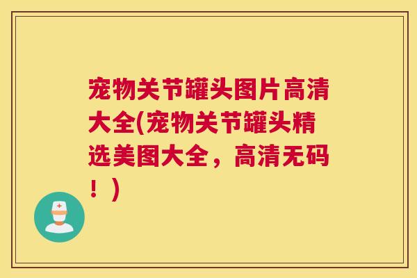宠物关节罐头图片高清大全(宠物关节罐头精选美图大全，高清无码！)