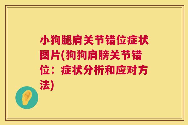 小狗腿肩关节错位症状图片(狗狗肩膀关节错位：症状分析和应对方法)